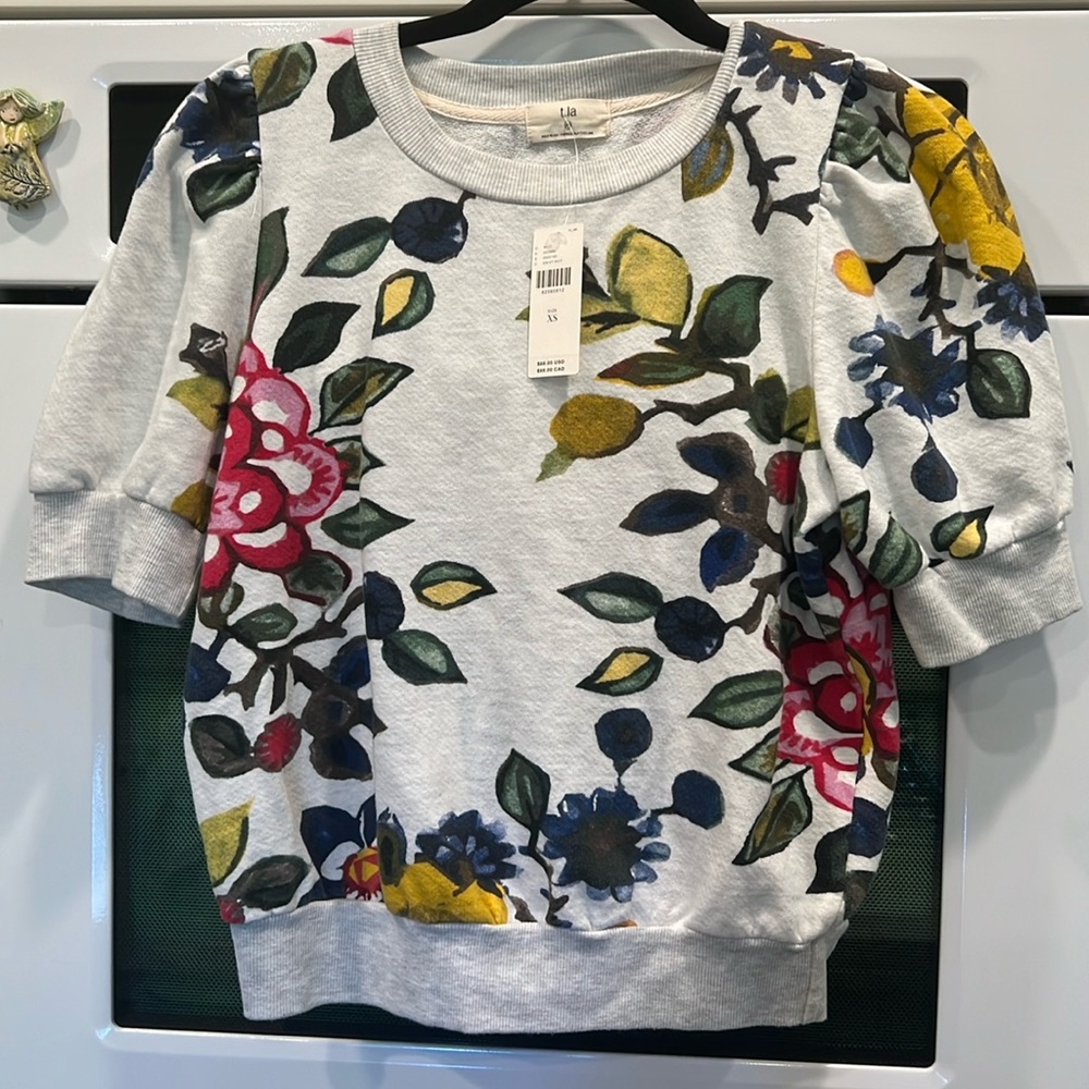 Anthropology t la